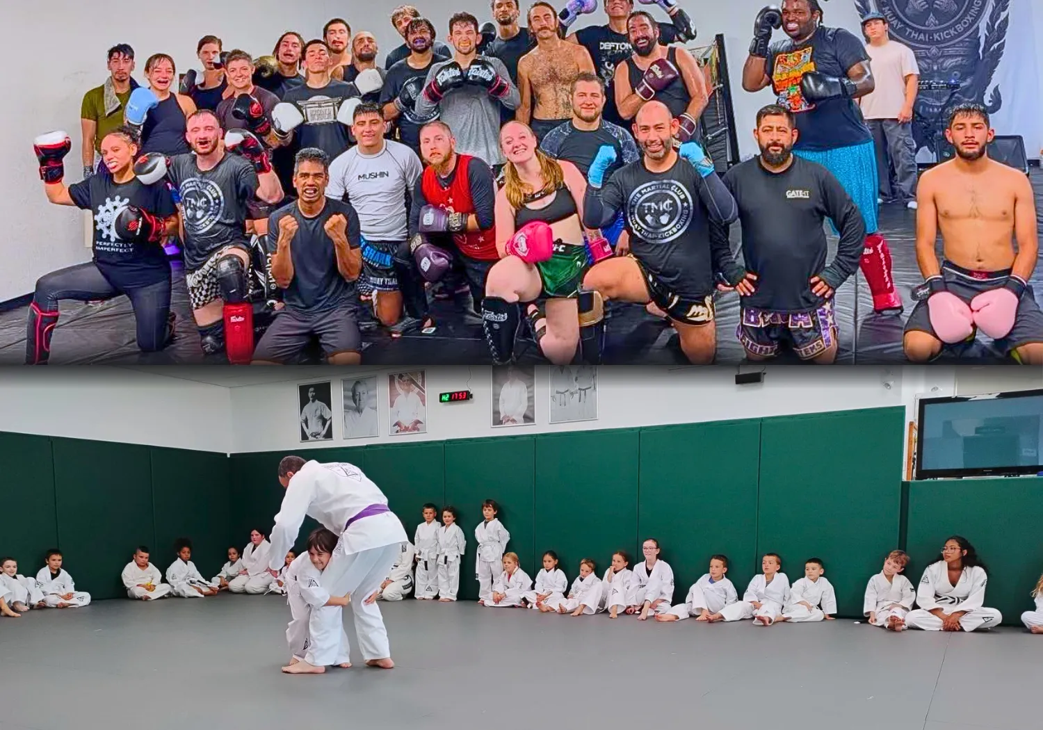Case Studies - Martial arts marketing results