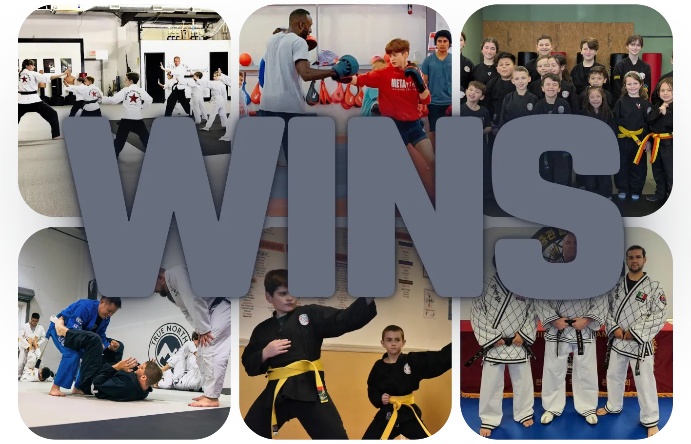 Client Wins - Success results from martial arts schools