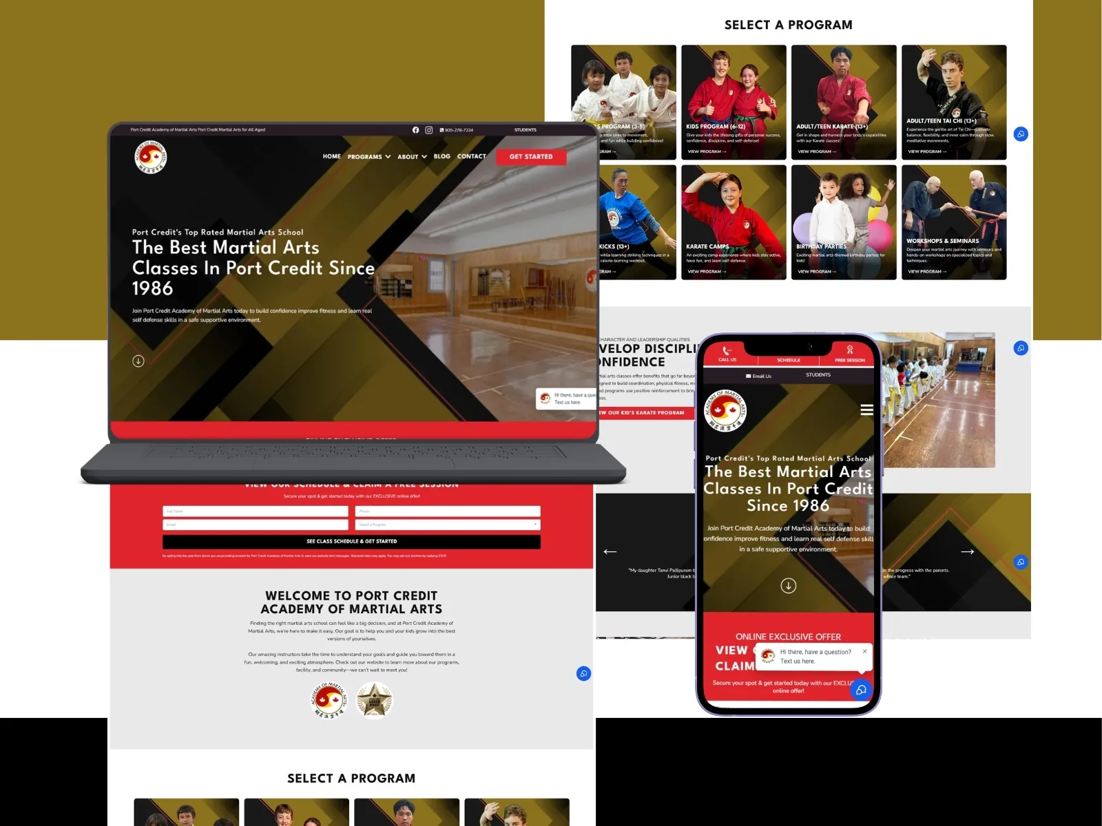 Port Credit Academy martial arts website by Veuze Media